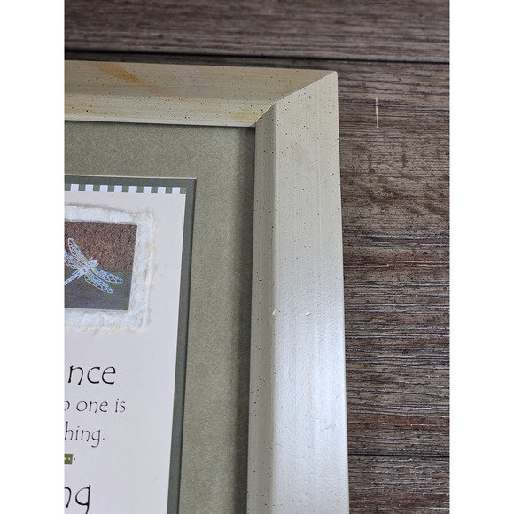 Vintage Framed Inspirational Quote Wall Art 17x9 Dragonfly Print Decor